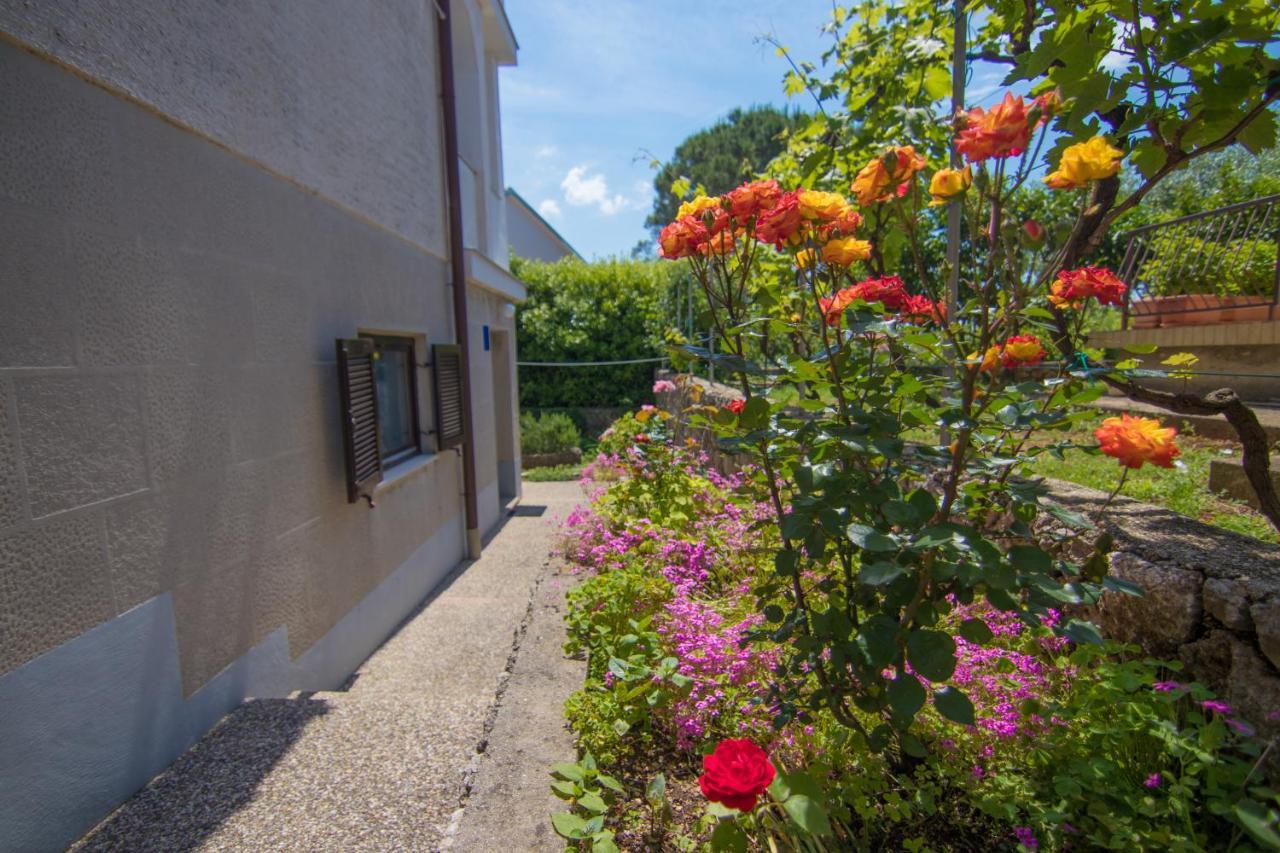 Mara Appartement Krk Town